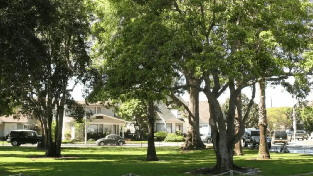 Carroll Park