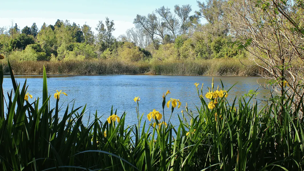 El Dorado Park North / Carson Park