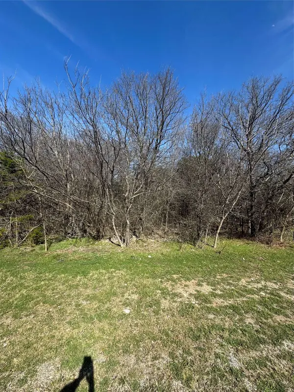 1280 Paint Brush CT, Whitney, TX 76692