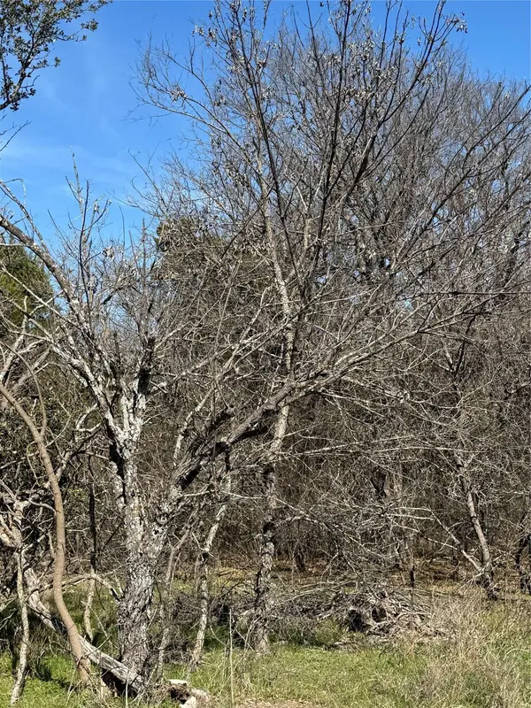 1280 Paint Brush CT, Whitney, TX 76692