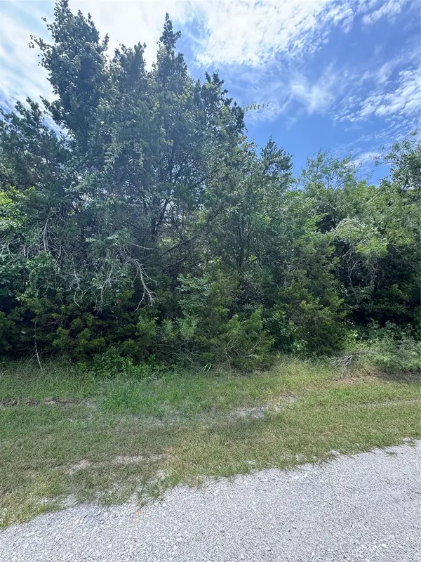 12208 Rolling Oaks DR, Whitney, TX 76692