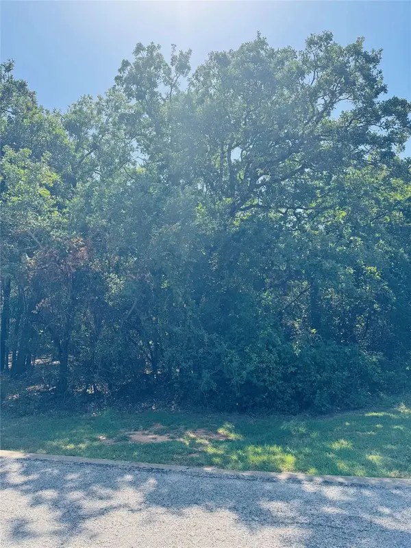 24019 Wood Hollow DR, Whitney, TX 76692