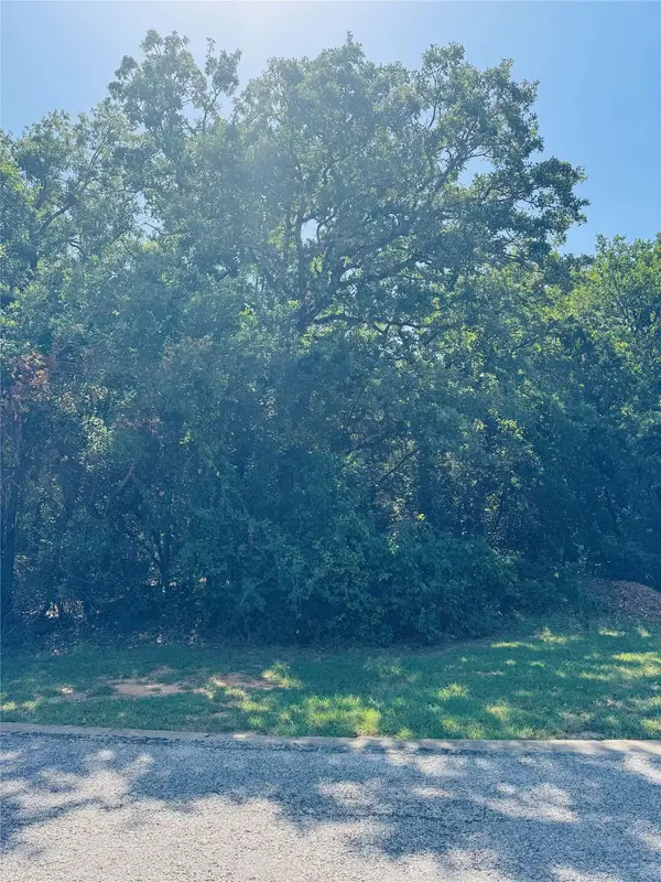 24019 Wood Hollow DR, Whitney, TX 76692