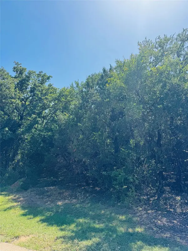 24019 Wood Hollow DR, Whitney, TX 76692
