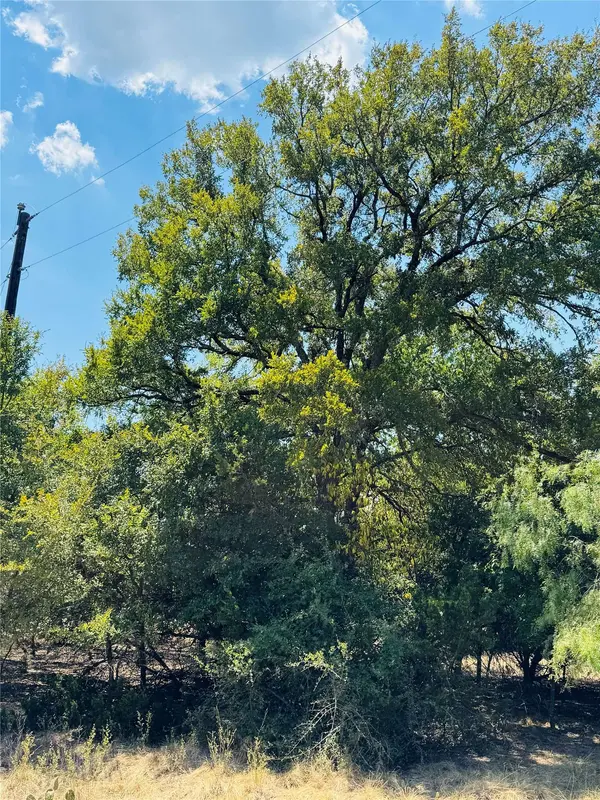 14057 Sandy Oaks DR, Whitney, TX 76692