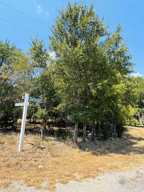 14057 Sandy Oaks DR, Whitney, TX 76692