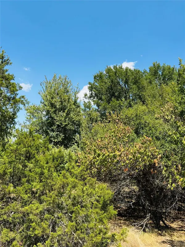 14057 Sandy Oaks DR, Whitney, TX 76692