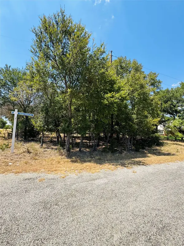 14057 Sandy Oaks DR, Whitney, TX 76692