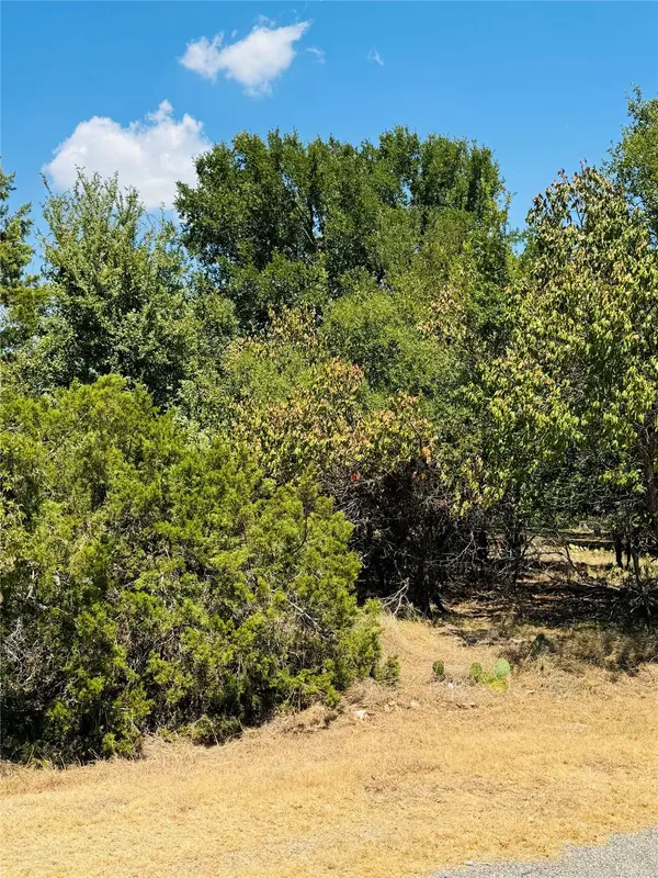 14057 Sandy Oaks DR, Whitney, TX 76692