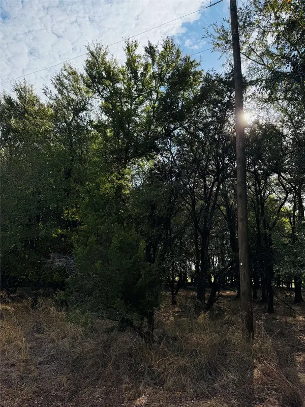 7103 Cedar Valley DR, Whitney, TX 76692