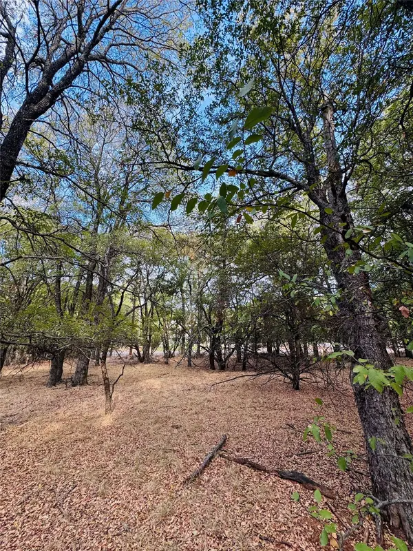 7103 Cedar Valley DR, Whitney, TX 76692