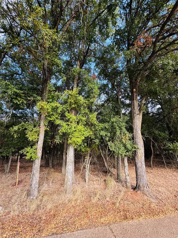 7103 Cedar Valley DR, Whitney, TX 76692