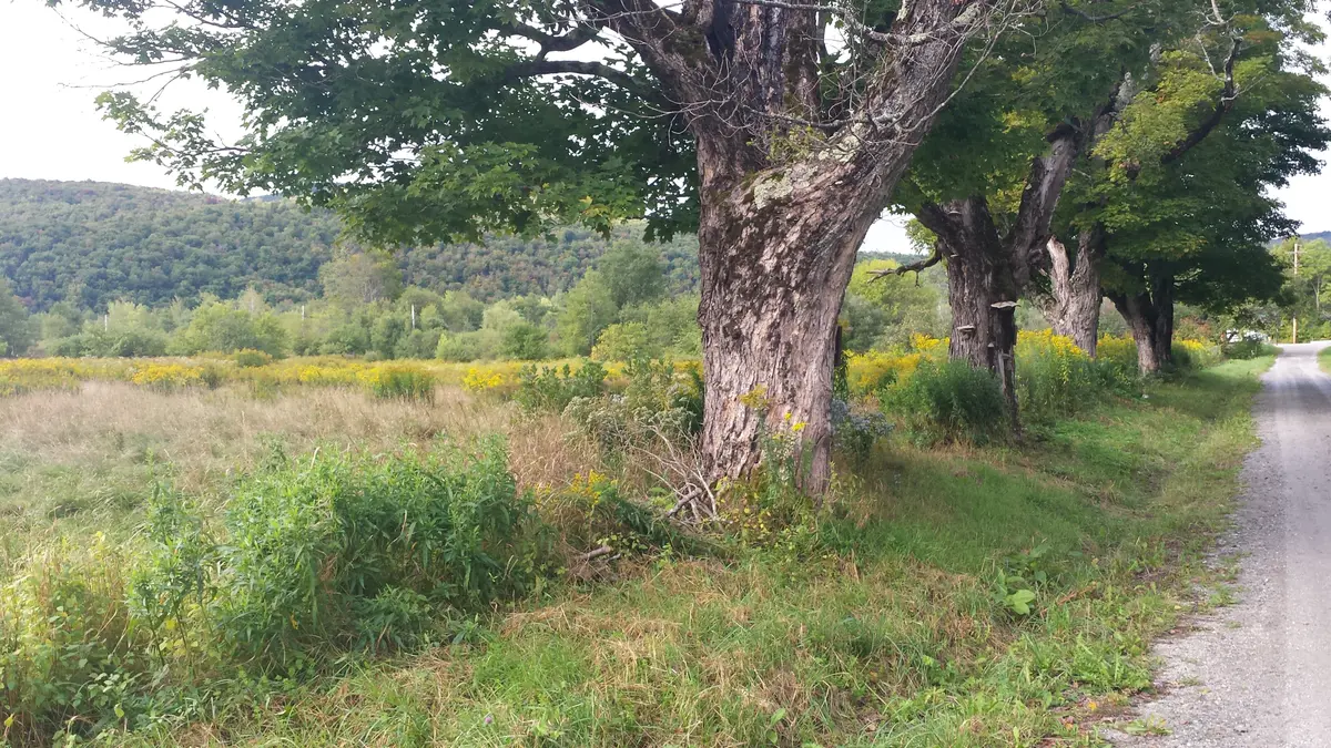 Old County Ln, Readsboro, VT 05350