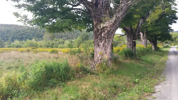 Old County Ln, Readsboro, VT 05350