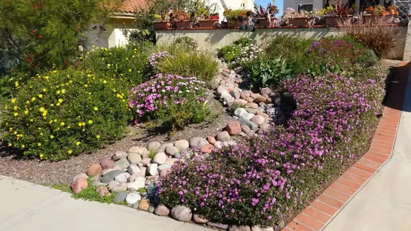 feature image of How to Keep Your Colorado Garden Thriving During the Hottest Part of Summer
