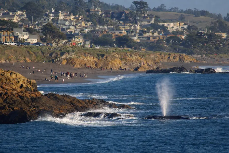 Cambria
