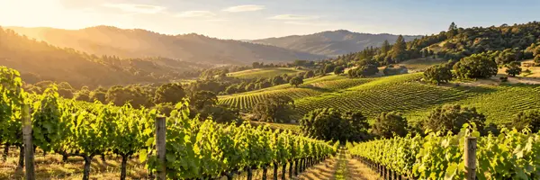 Relocating to San Luis Obispo County: Coastal vs. Wine Country Living,Debra Lowe