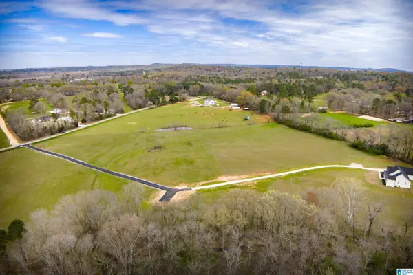 850 COUNTY ROAD 24 #1A, Alabaster, AL 35007
