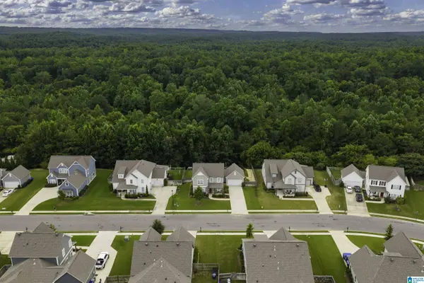 4583 OLD CAHABA PARKWAY, Helena, AL 35080