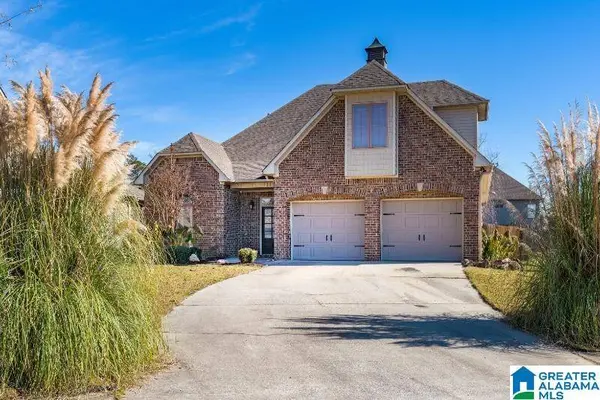 163 WILLOW VIEW LANE