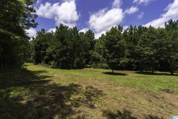 309 FOX VALLEY HIGHLANDS CIRCLE #11, Alabaster, AL 35007
