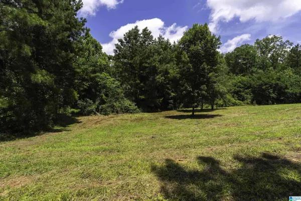 309 FOX VALLEY HIGHLANDS CIRCLE #11, Alabaster, AL 35007