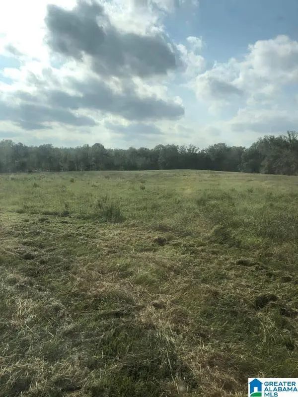 4759 COUNTY ROAD 55 #1, Wilsonville, AL 35186
