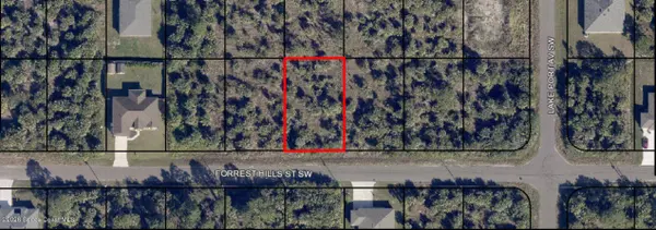 525 Forrest Hills ST SW, Palm Bay, FL 32908