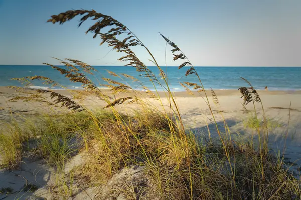 Indian Harbour Beach by Raven Skylar Gallery