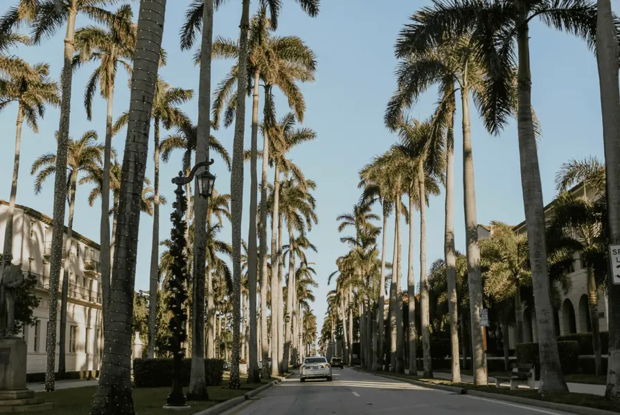 Palm Beach