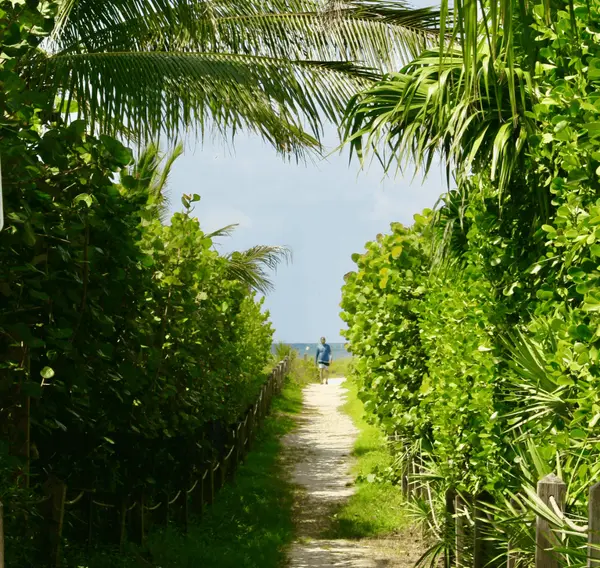 FLbeachpath