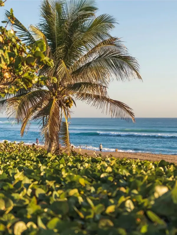 Seasonal Homeownership Costs in Palm Beach County