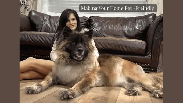 MAKE YOUR HOME PET FRIENDLY TO APPEAL TO SELLERS