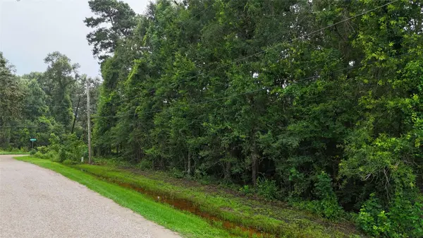 0 Golden LN, Houston, TX 77336