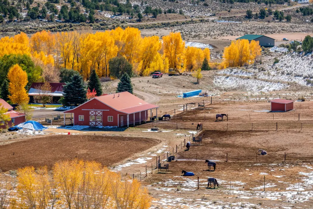 Septic Systems, Wells, and Utilities: What to Check Before Buying Rural Property in Colorado