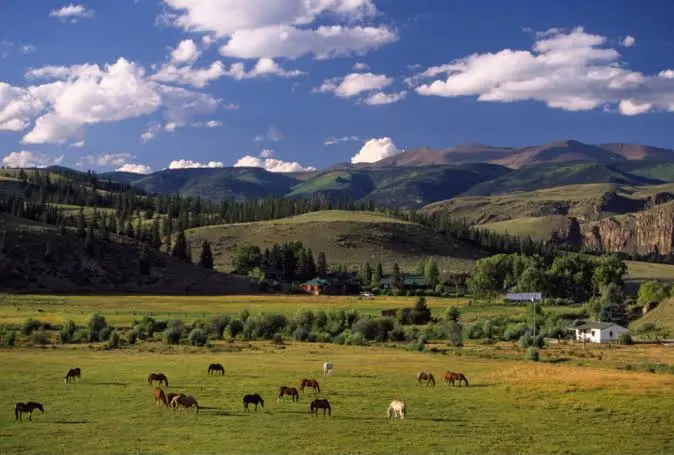 Raw Land vs Improved Land: Which Is Right for Your Colorado Investment Goals?