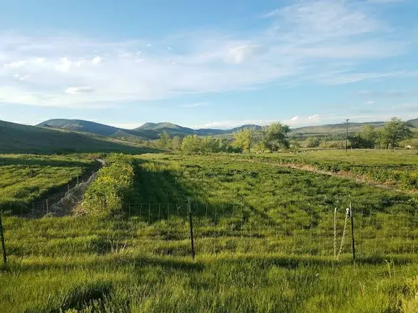 Farm-to-Table Dreams vs. Reality: What It Takes to Grow Food on Colorado Land Quick Answer: Can You Grow Your Own Food on Colorado Land?