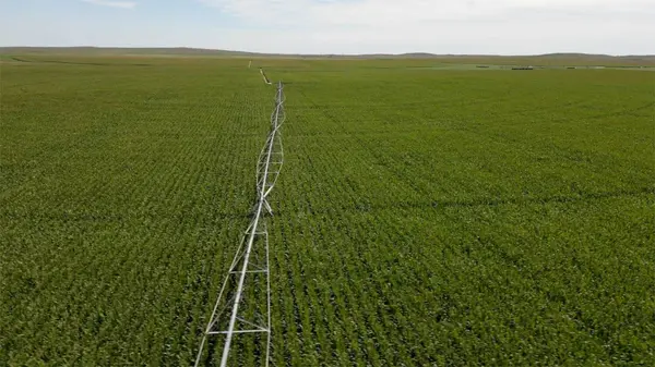 Buying Colorado Land With Irrigation Ditches: What Buyers Need to Know Quick Answer: What Should You Know Before Buying Colorado Land With Irrigation Ditches?