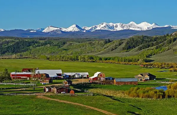Wildlife on Rural Colorado Property: What Buyers Should Know