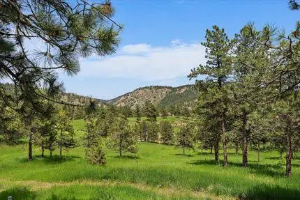 Horse Property Layout: Why the Way the Land Is Designed Matters Quick Answer