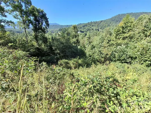1 River Crest, Burnsville, NC 28714