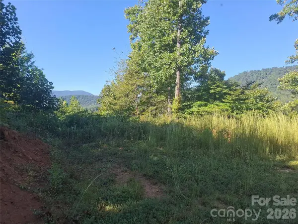 1 River Crest, Burnsville, NC 28714