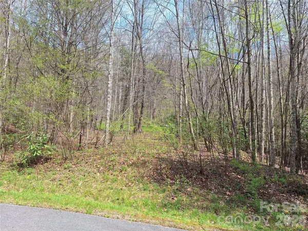 946 Lake RD, Old Fort, NC 28762