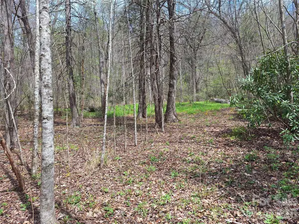 946 Lake RD, Old Fort, NC 28762