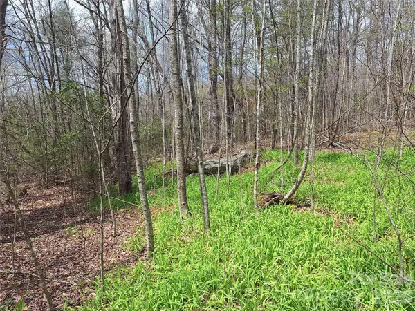 946 Lake RD, Old Fort, NC 28762