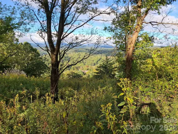 310 Sunset MTN #11, Bakersville, NC 28705