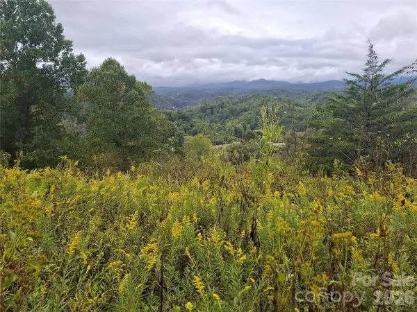 310 Sunset MTN #11, Bakersville, NC 28705