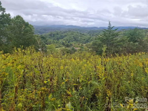 310 Sunset MTN #11, Bakersville, NC 28705