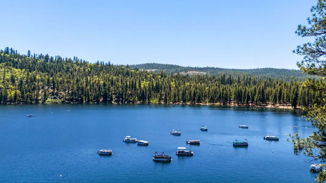 Pinecrest