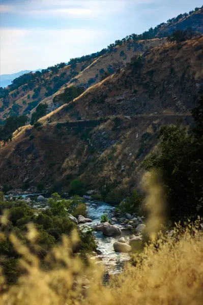 Tuolumne